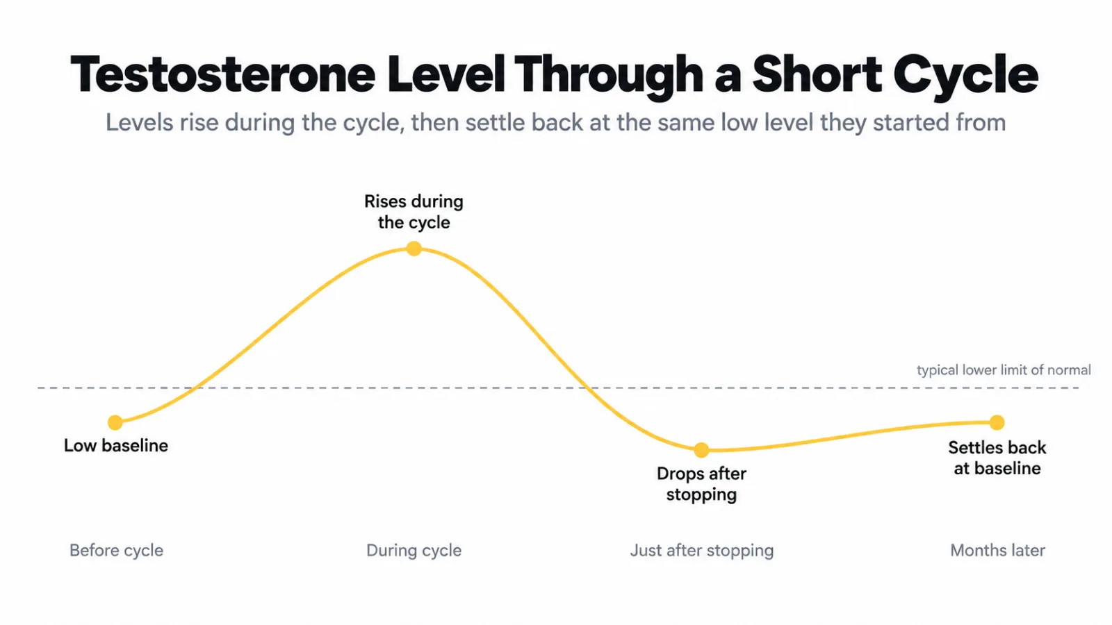 Chart of testosterone levels over time during and after a short testosterone cycle, rising while testosterone is taken and falling back to the original low baseline after stopping